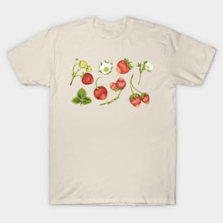 Vintage Strawberries Strawberry Flower Cottagecore T-Shirt